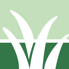 Strive Residential Lawn Mowing Service