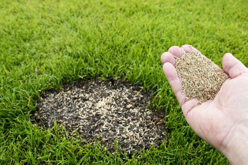 Lawn Reseeding Service in Honolulu, HI
