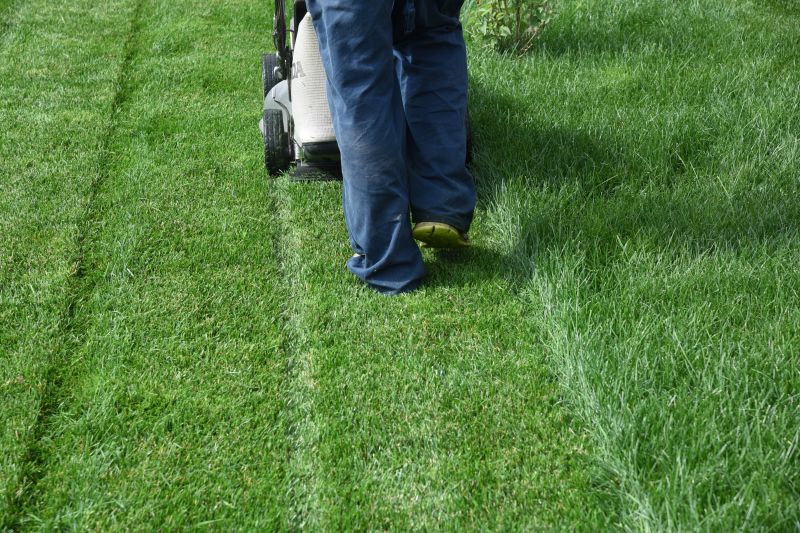 Residential Lawn Mowing Service