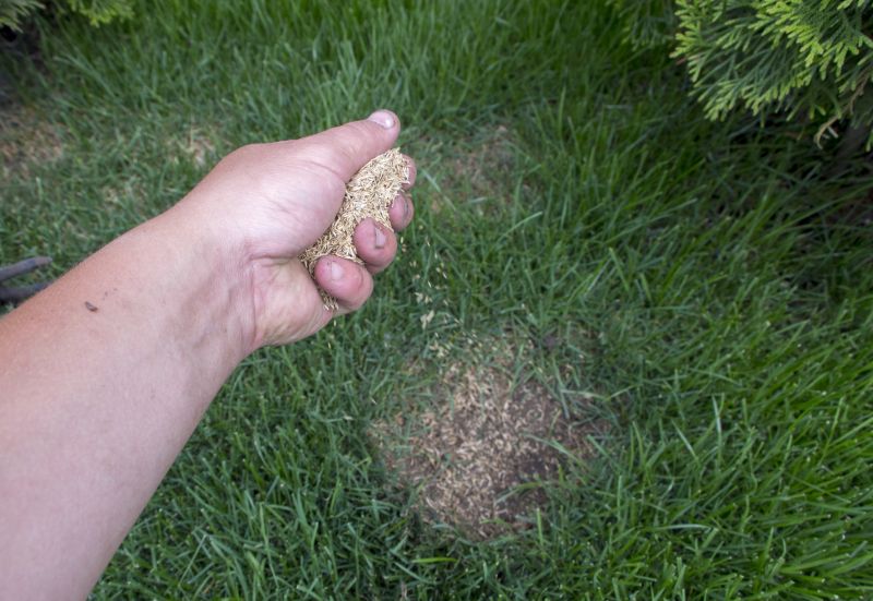 Bermuda Grass Seeding in Ventura County, CA
