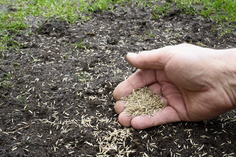 Grass Seeding Service in Ventura County, CA