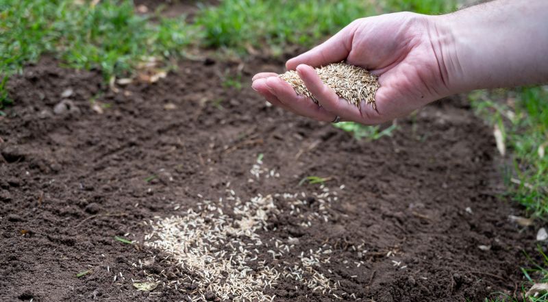 Lawn Reseeding Service in Honolulu, HI