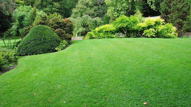 Residential Lawn Mowing Cost — Cost of Residential Lawn Mowing Service