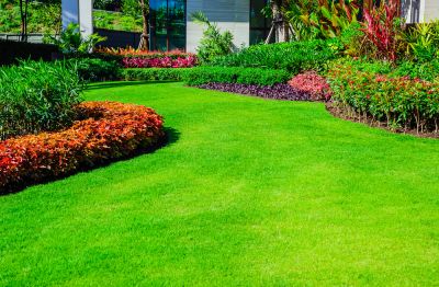 Get Regular Lawn Mowing and Trimming Services by the Pros!