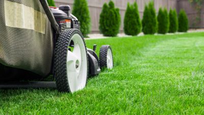 Keep Your Grass Looking Neat and Tidy!