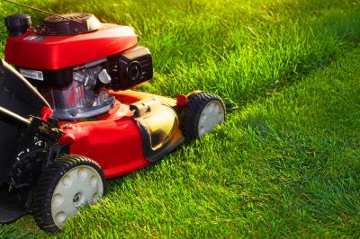 Keep Your Lawn Looking its Best!